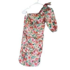 Zara Pink and Red One Shoulder Puff Sleeve Dress